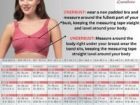 Women's Cotton Full Coverage Non-Padded Wirefree T-Shirt Bra Combo